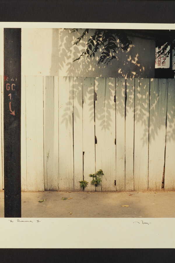 Není známo, zda bylo dílo vystaveno.